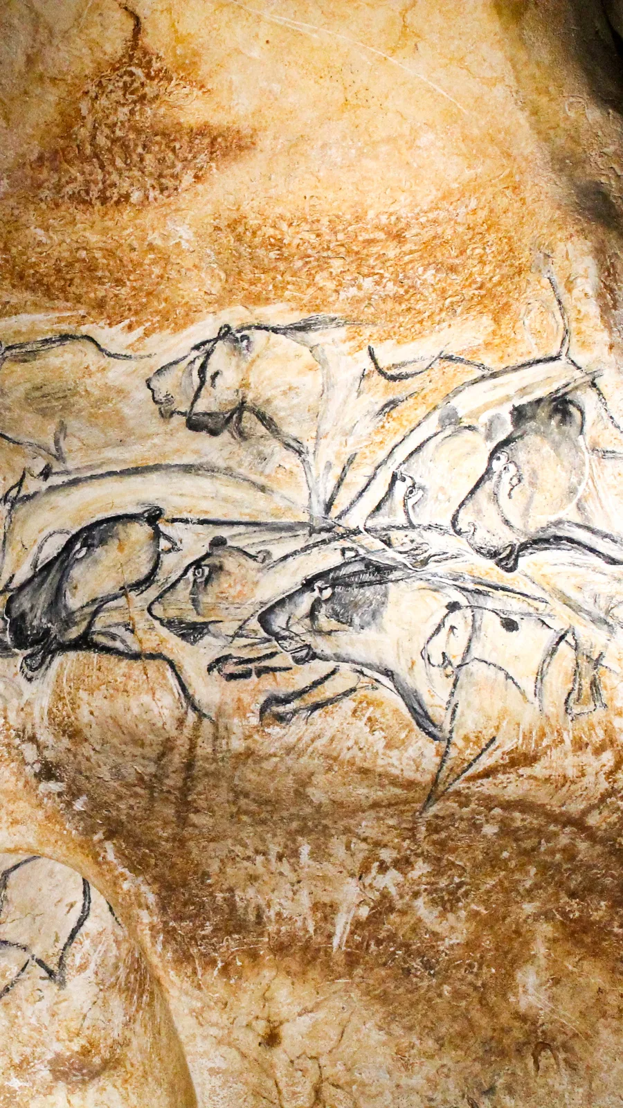 Grotte Chauvet 2 Ardèche